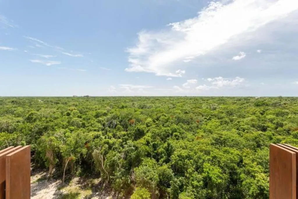 Apartament New Charming Studio With Terrace Tulum Meksyk
